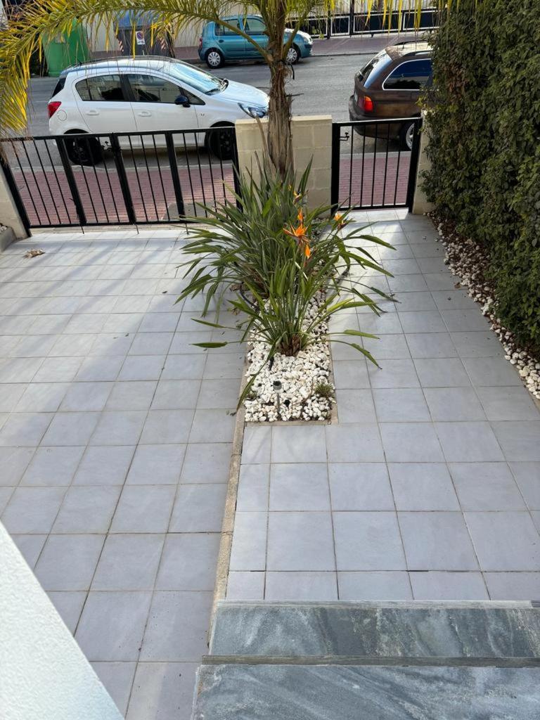 Casa La Zorro Apartment Torrevieja Exterior photo